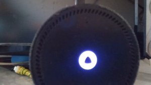 Анекдоты от Алисы 08-11-2025 умная колонка Яндекс Мини