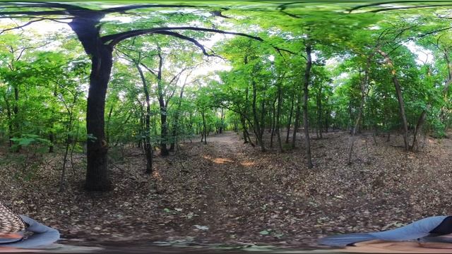 Руднянский рн_injected #rutube360