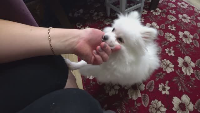 Влог от 08.09.2021 смотреть онлайн