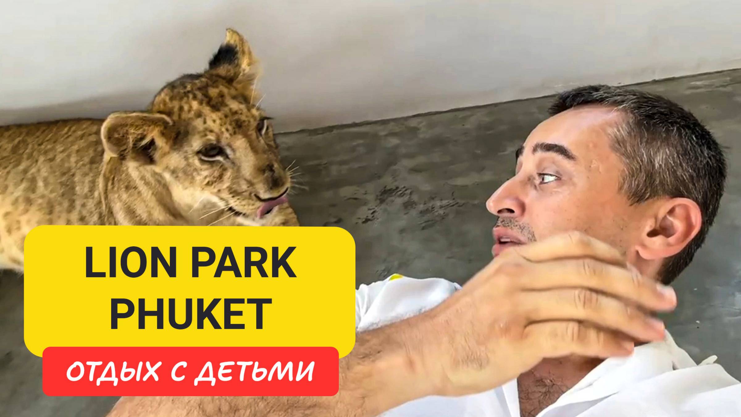 Топ-локация для семьи | Обзор Lion Park Phuket | Где пообщаться с львёнком на Пхукете? смотреть онлайн