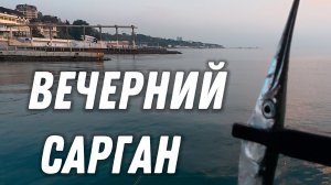 Рыбалка в Сочи // Вечерний сарган