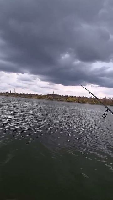 Отводной поводок #рыбалка #окунь #shorts смотреть онлайн
