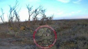 Война как есть. #СВО