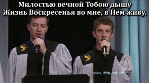 Милостью, Боже Твоею живу