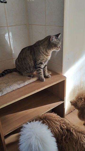 lv_0_20251107185142 смотреть онлайн