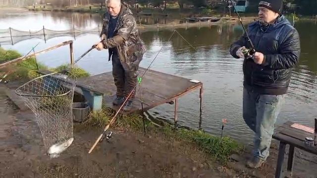 Форель 10 смотреть онлайн