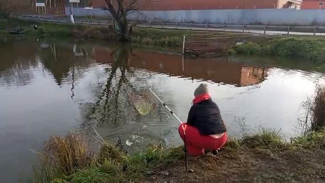 Флрель6 смотреть онлайн