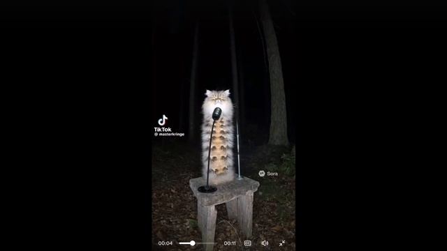 Э ПОХЛОПААЕМ ЕЙ👏👏👏👏👏👏🤜 смотреть онлайн