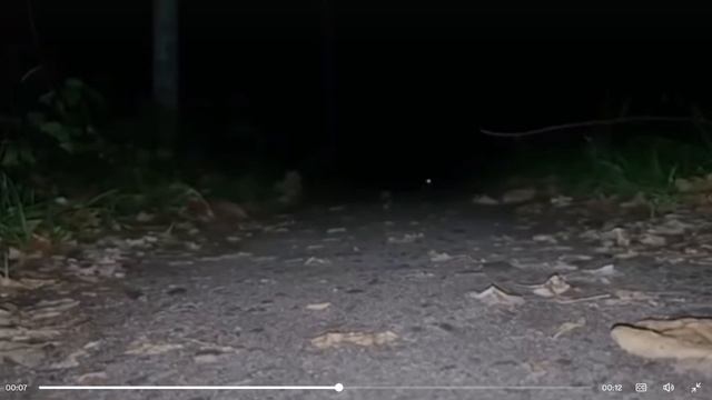 Аахаххахаха смотреть онлайн