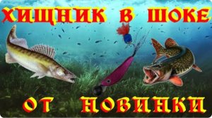 ХИЩНИК ДУРЕЕТ ОТ ЭТОЙ ПРИМАНКИ