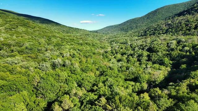 Umar Keyn - Lucky guy (Orginal Mix) смотреть онлайн