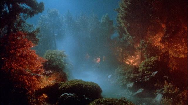 A playlist for broken hearts..- смотреть онлайн