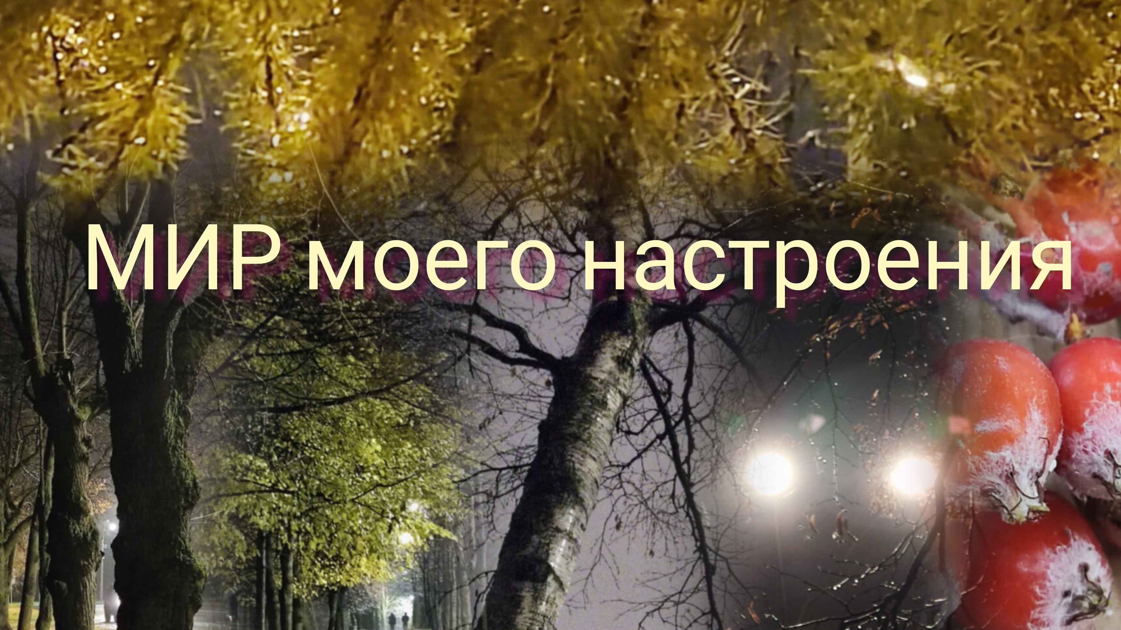 07.11.25 Прогулка под дождём вечером в пятницу смотреть онлайн