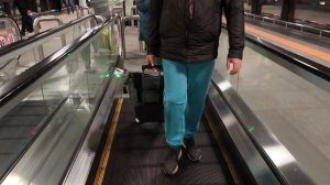 Прибыли в Аэропорт Шереметьево