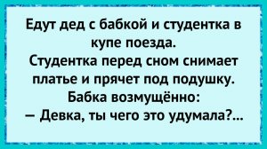 Вот это попутчица попалась!