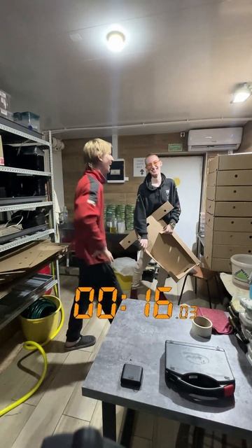 Кто быстрее соберёт коробки для микрозелени?☘️⏱️ смотреть онлайн