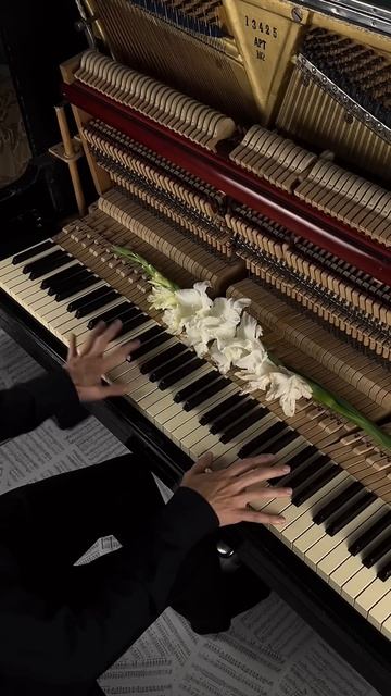 Gently #aesthetic #piano #calm смотреть онлайн