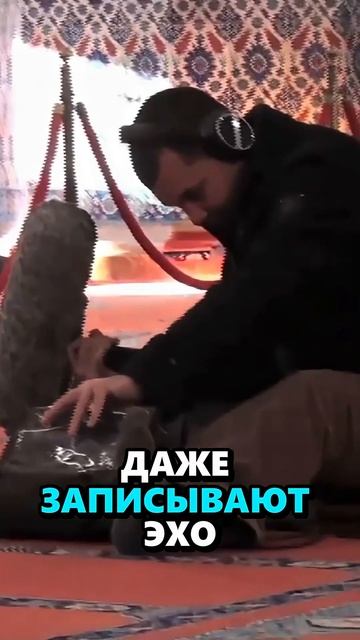 Ассасин и МУКИ разработки #assassinscreed #игры #sonnyk