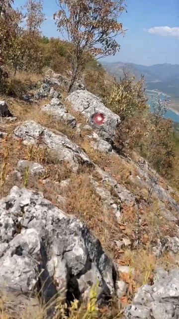 Kozij Kamen 1181m. Zavojsko jezero #srbija #hiking #europeantravel #serbiatravel #mountains #nature смотреть онлайн