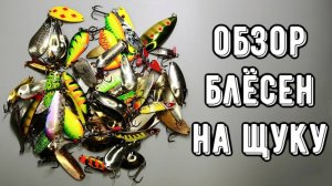 БЛЁСНЫ на ЩУКУ! Большой обзор уловистых колебалок
