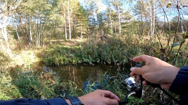 Ты всегда будешь с рыбой! Пробуй мормышинг! смотреть онлайн