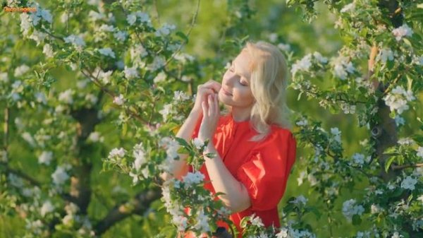 Davvi - These rains please me (Retro vibes)