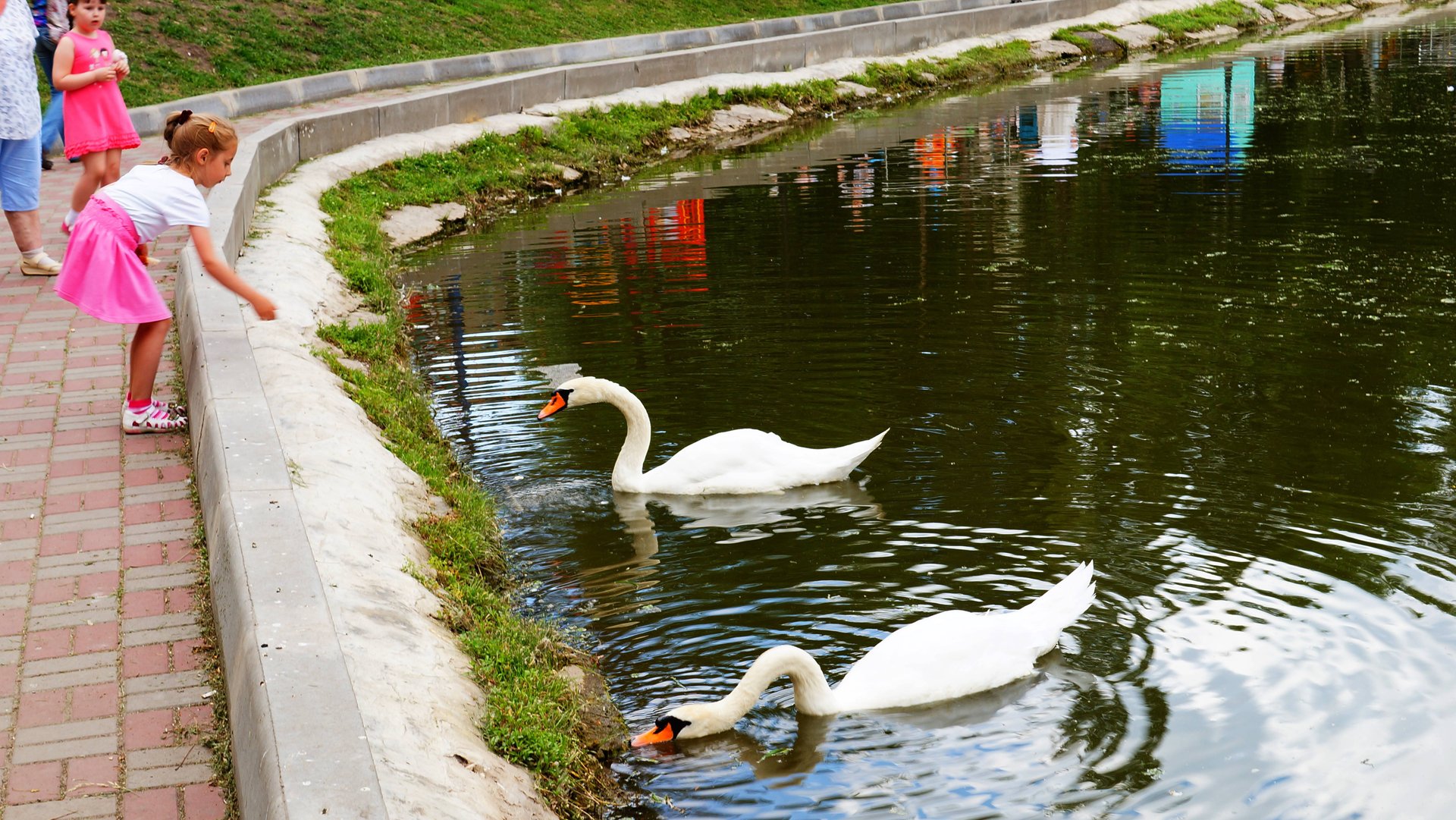 + Голодные рыбки и сытые белки