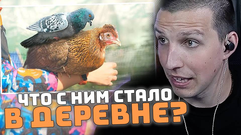 ЧТО СТАЛО С ЦЫПЛЕНКОМ В ДЕРЕВНЕ | РЕАКЦИЯ МАЗЕЛЛОВА смотреть онлайн