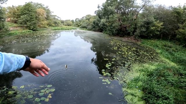 Её тут как грязи! Мормышинг в Кимрах смотреть онлайн