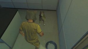 ФЛЕЙЗИН УМЕР И СТАЛ ПРИЗРАКОМ НА 24 ЧАСА ! - ЧЕЛЛЕНДЖИ В ГТА 5 ОНЛАЙН