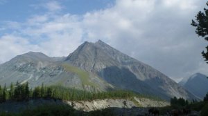 На пути к Белухе
