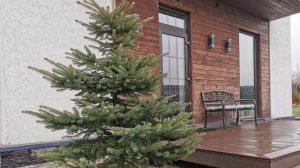 Короткий осенний день и всего один пункт плана выполнен. 07.11.2025 восток Ленинградской области