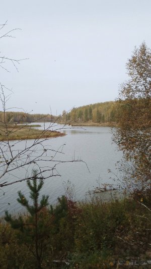 Вспомним лето .2025 год