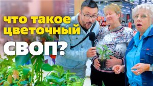 Потратили кучу денег на растения с сестрой