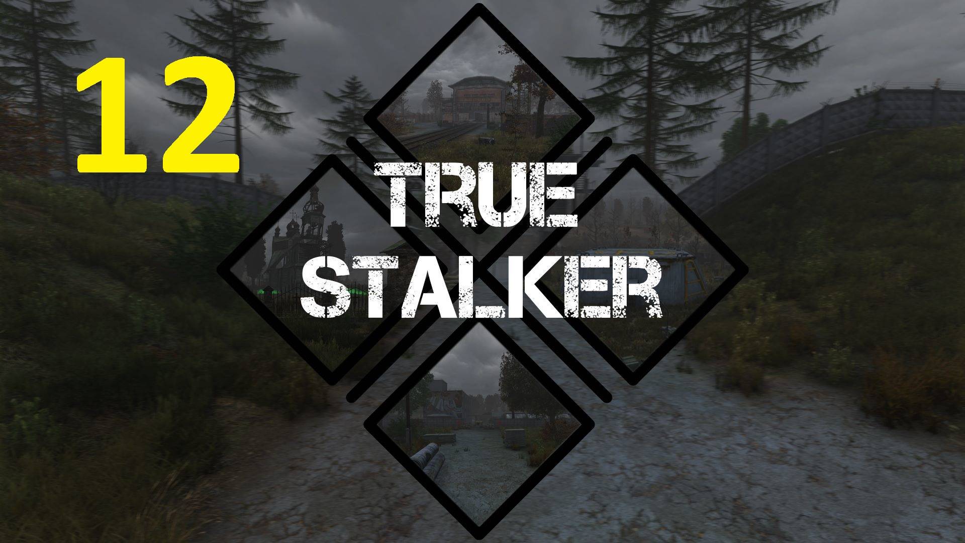 Прохождение S.T.A.L.K.E.R True Stalker. Часть 12 смотреть онлайн