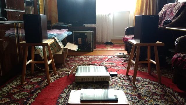 Амфитон после профилактики DSD