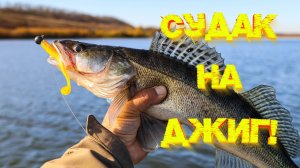 СУДАК на джиг 👍 МОЩНО клюнул на оранжевую приманку 💪