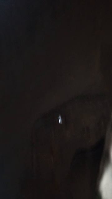 состояние нивы ч.2