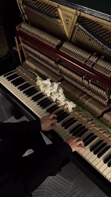 My own piano composition #piano #aesthetic #calm смотреть онлайн