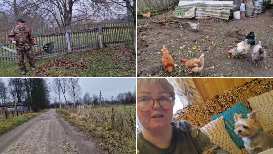 НЕМНОГО ПОГРЕБЛИСЬ,НАБРАЛИ КОМПОСТА ДЛЯ РОЗ, ЗАБРАЛИ ЗАКАЗЫ С WILDBERRIES. смотреть онлайн