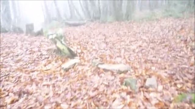 Summoning Of The Spirits
