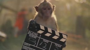 Artem B - 96 HOURS IN BALI