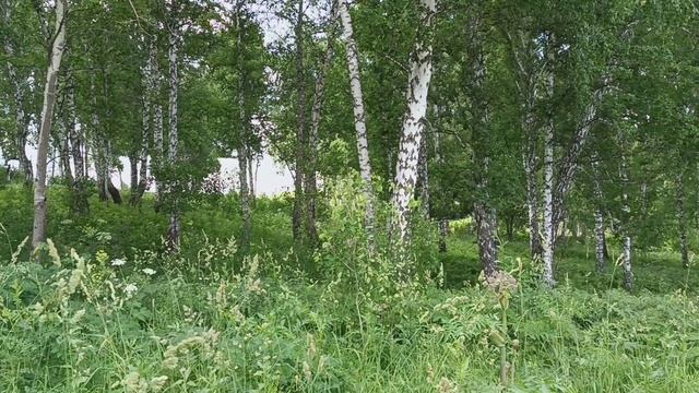 The beauty of summer. смотреть онлайн