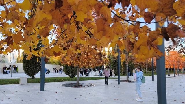 Осеннее буйство красок в ПАРКЕ ОБЛАКОВ Галицкого в Краснодаре. Октябрь / Ноябрь, +18 смотреть онлайн