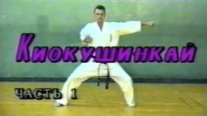 Техника Кёкусинкай Карате. Шихан Николаев Виктор Анатольевич.