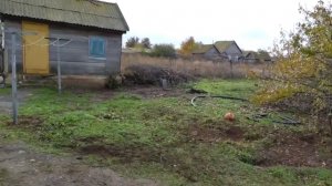 Купила дом в деревне. Где? Сколько стоит? И зачем я здесь? Как это было 9 серия.