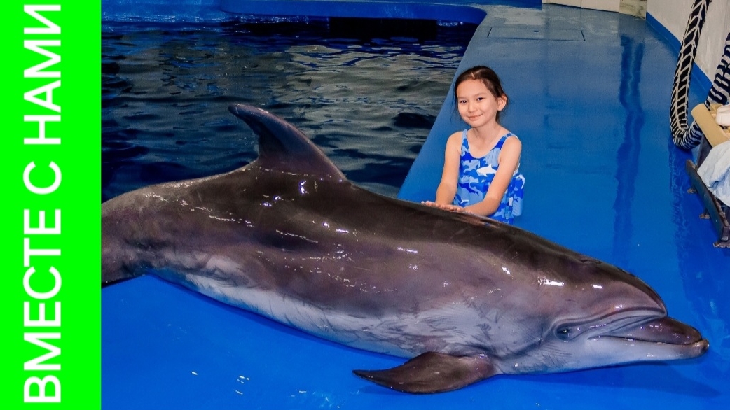 Два дня отмечаем ДР Алёны. Подарок неожиданно достался мне😵 смотреть онлайн