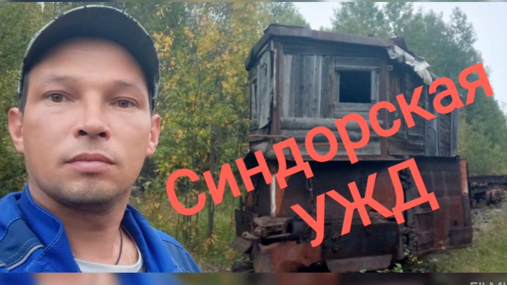 Синдорская узкоколейная железная дорога. смотреть онлайн