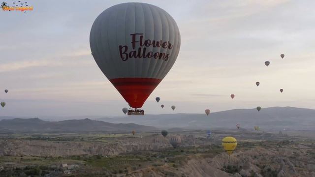 David Max - Eyes That Knew (Disco Vibe) смотреть онлайн