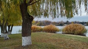 Рыжая осень в рыжих носочках